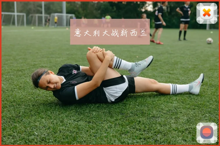 意大利大战新西兰