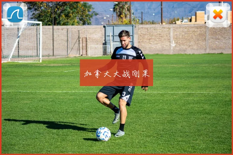 加拿大大战刚果