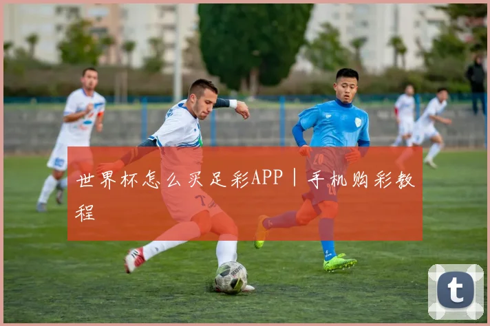 世界杯怎么买足彩APP｜手机购彩教程
